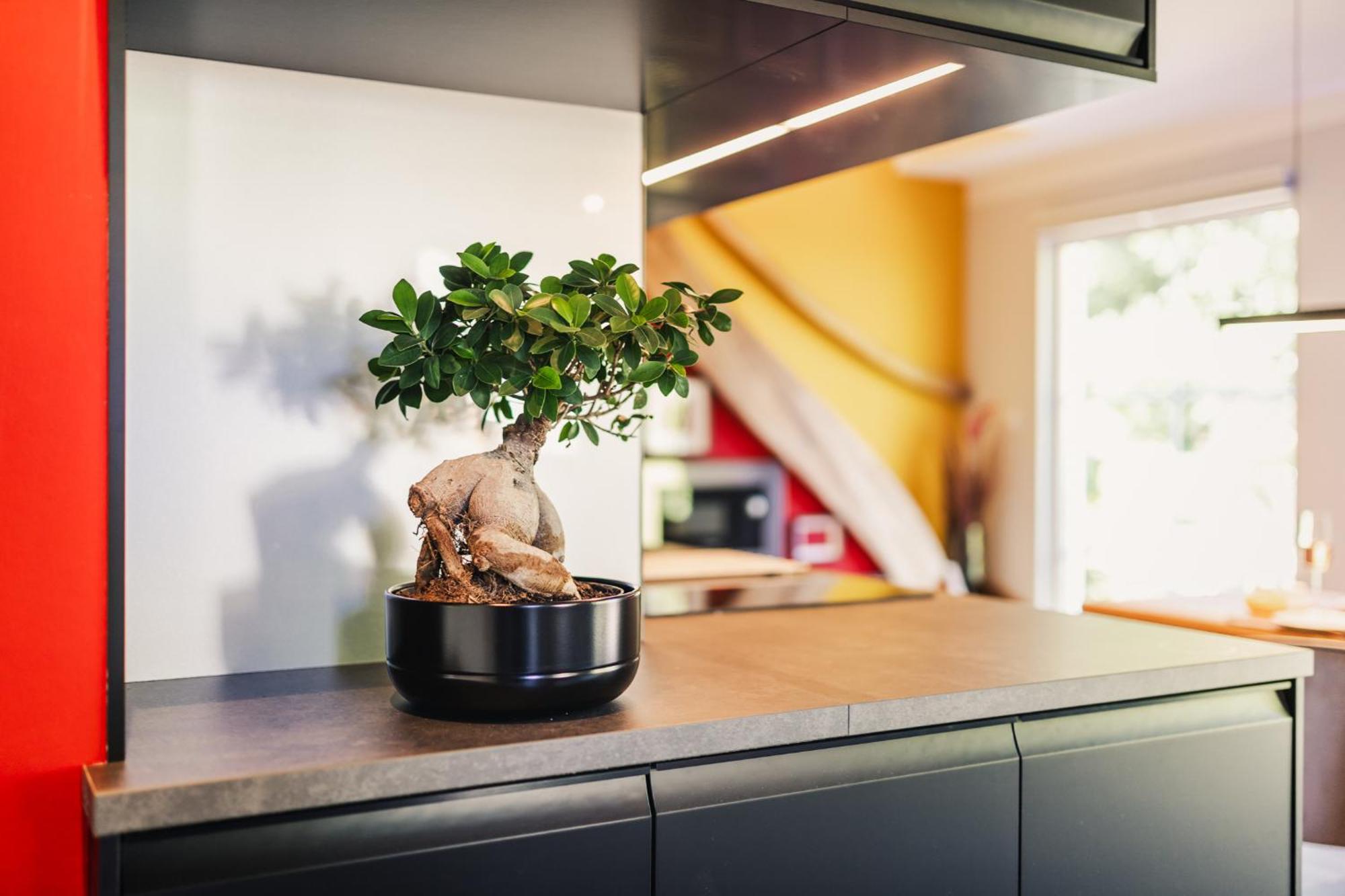 Ferienwohnung "Steernkieker" - Ankommen Und Entspannen Klausdorf  ภายนอก รูปภาพ